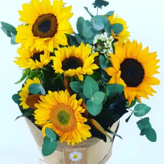 SUNNY SUNFLOWERS