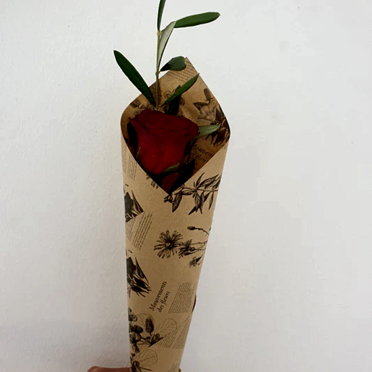 SINGLE RED ROSE